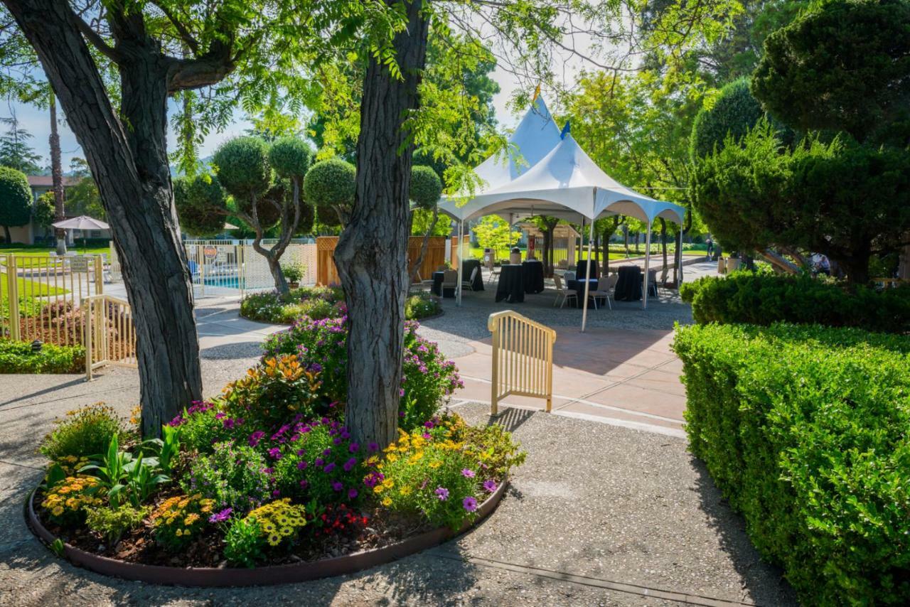 Los Gatos Lodge Екстер'єр фото