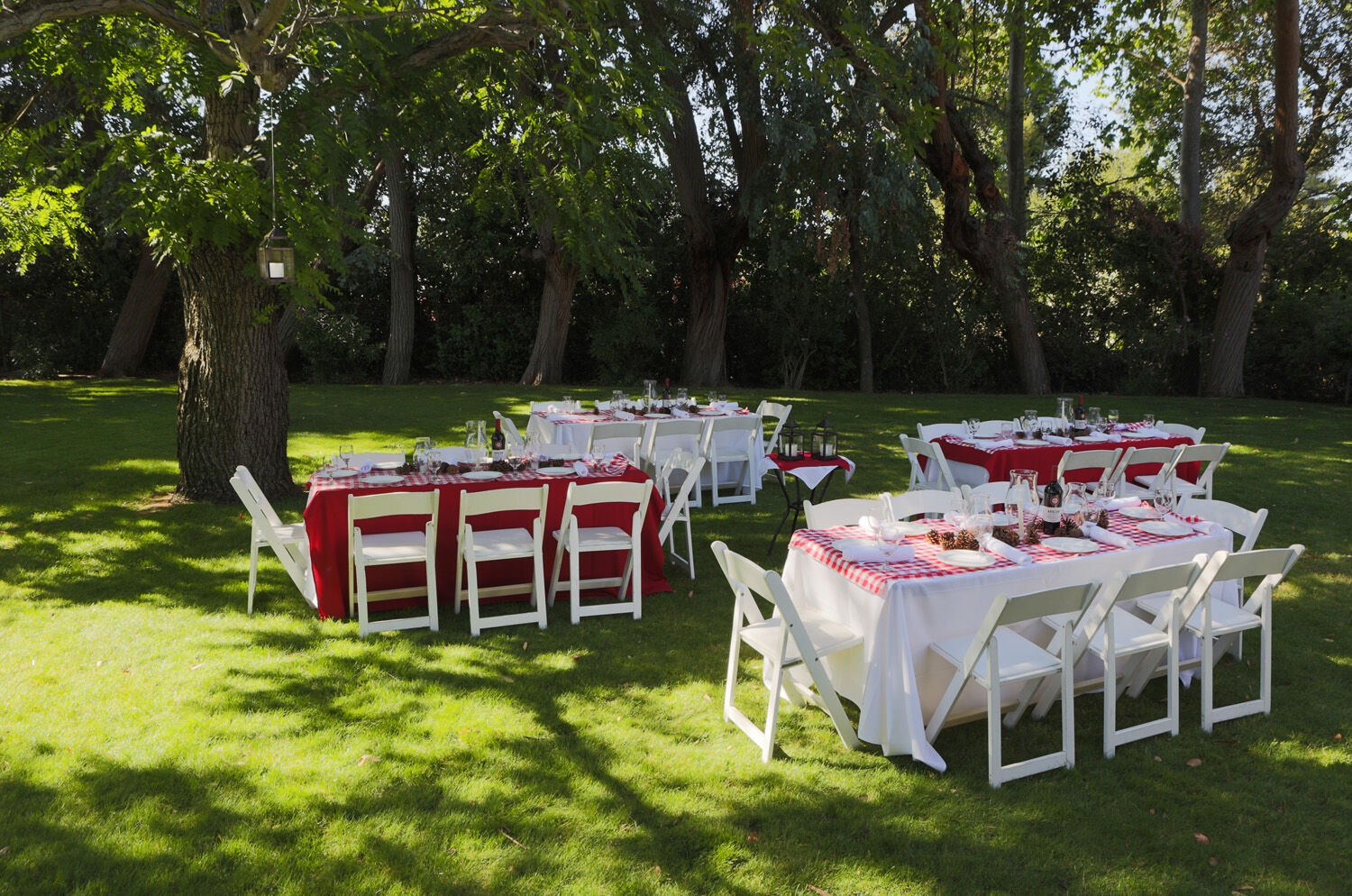 Los Gatos Lodge Екстер'єр фото